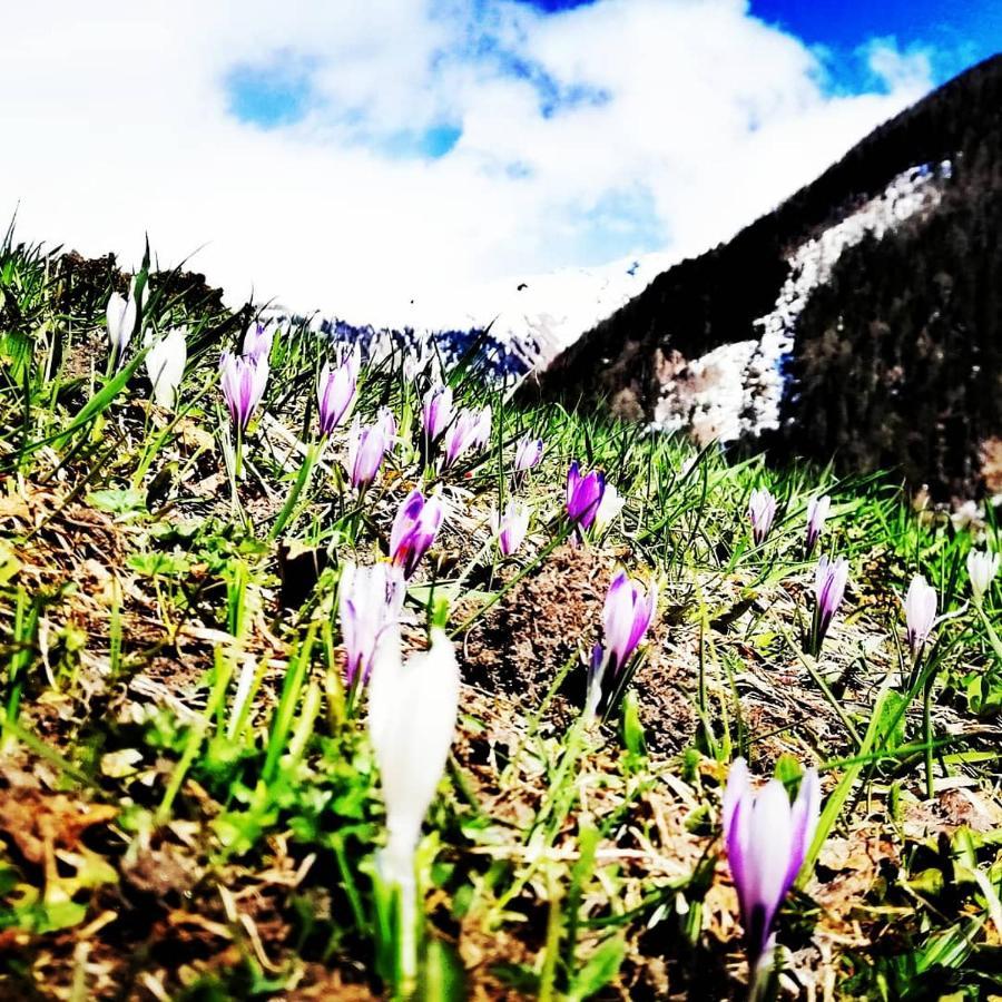 Ferienwohnungen Niederarnigerhof Familie Bauernfeind Kals-am Großglockner Zewnętrze zdjęcie