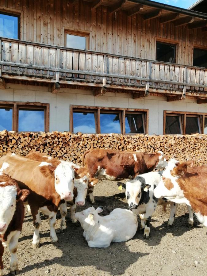Ferienwohnungen Niederarnigerhof Familie Bauernfeind Kals-am Großglockner Zewnętrze zdjęcie