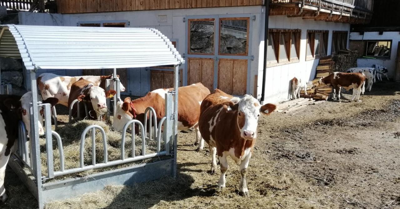 Ferienwohnungen Niederarnigerhof Familie Bauernfeind Kals-am Großglockner Zewnętrze zdjęcie