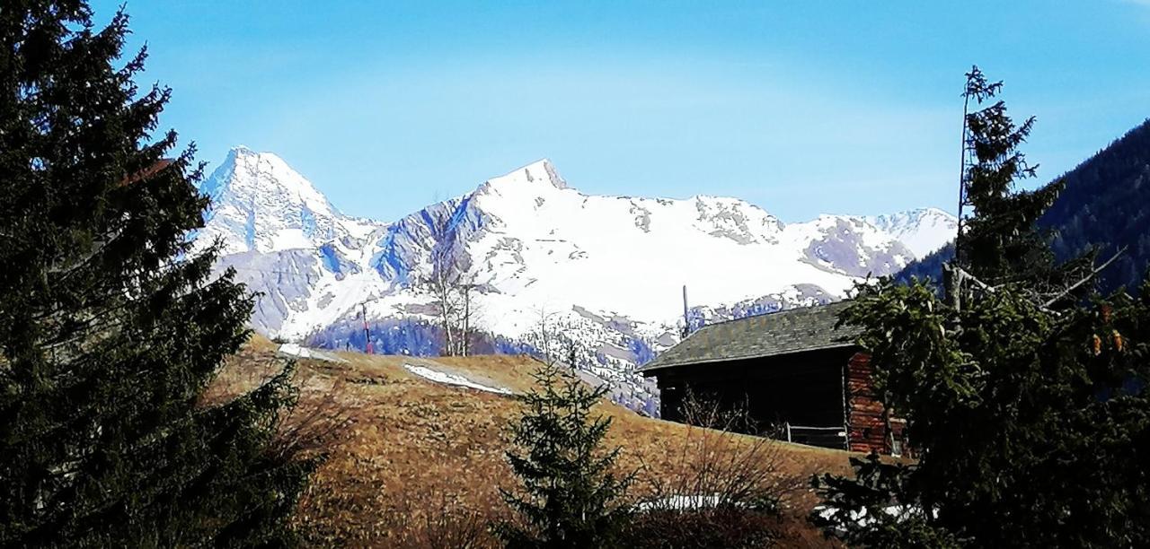 Ferienwohnungen Niederarnigerhof Familie Bauernfeind Kals-am Großglockner Zewnętrze zdjęcie
