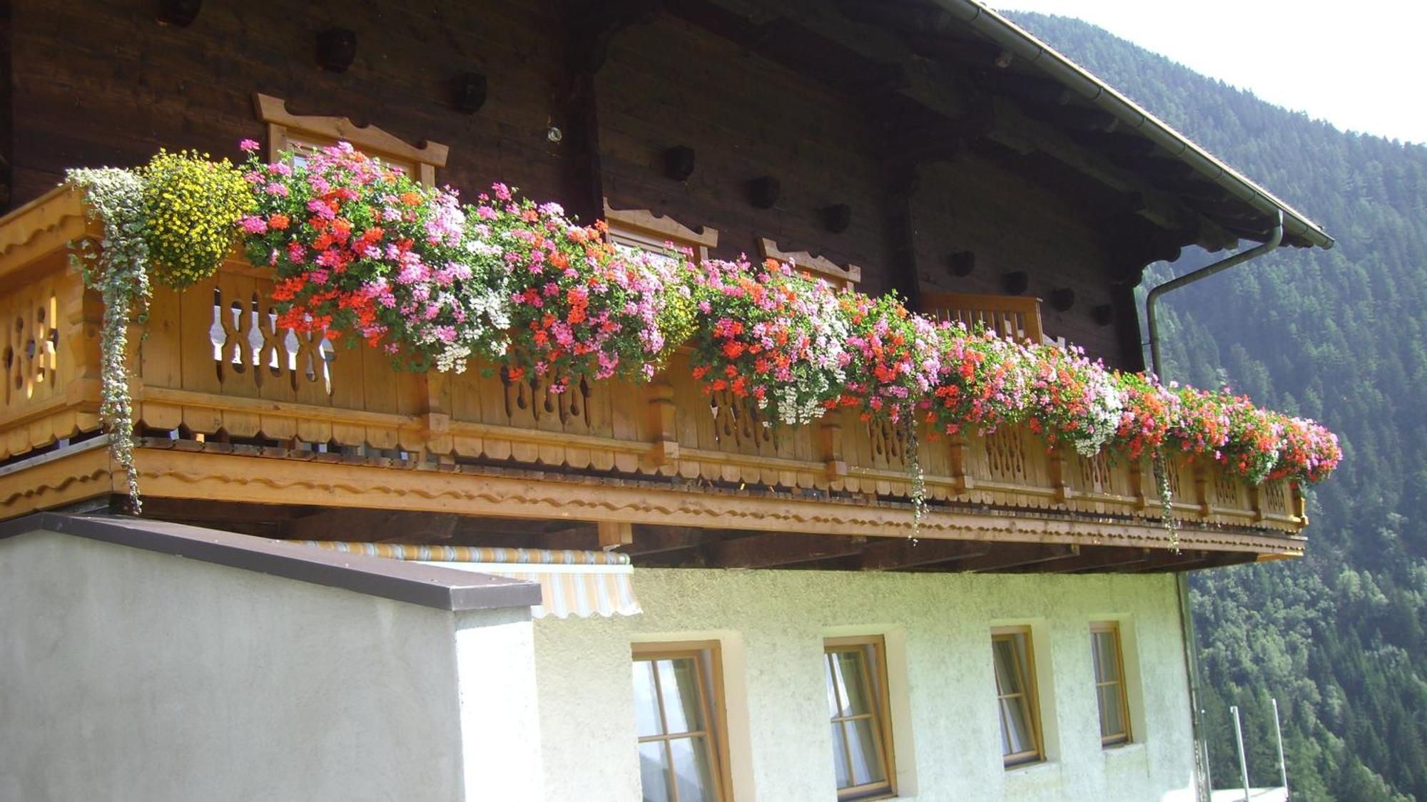 Ferienwohnungen Niederarnigerhof Familie Bauernfeind Kals-am Großglockner Zewnętrze zdjęcie